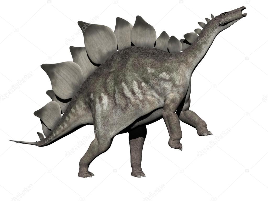 stegosaurus in 3d