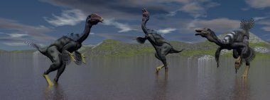 three caudipteryx  dinosaur 