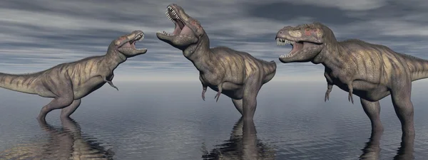 Three tyrannosaure dinosaur - 3d render — Stok fotoğraf