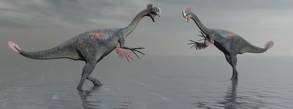 Dois dinossauro gigantoraptor - 3d render — Fotografia de Stock