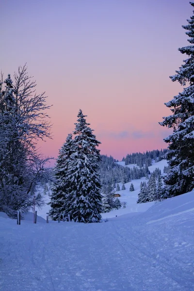 Magnifico paesaggio invernale — Foto Stock