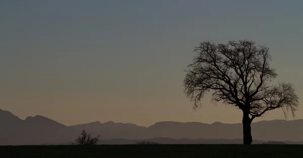 Herrliche Nebellandschaft im Winter — Stockfoto