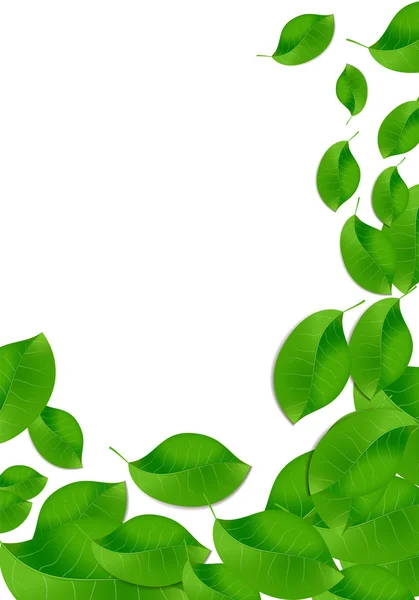 Öko-Blätter auf weißem Hintergrund. Vektorbild — Stockvektor