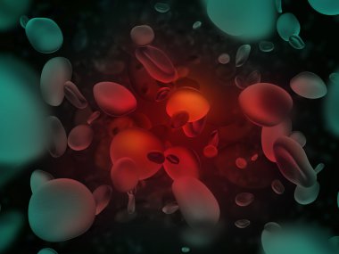 Kan hücreleri mikroskop altında enfekte