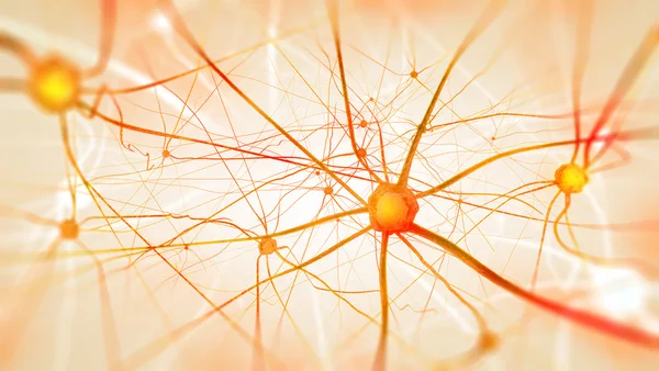 Neurons in the brain on light background — Stock Photo, Image