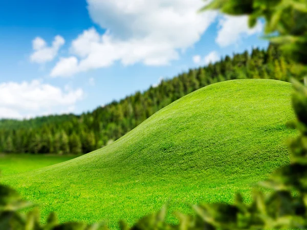 Soliga grön kulle — Stockfoto