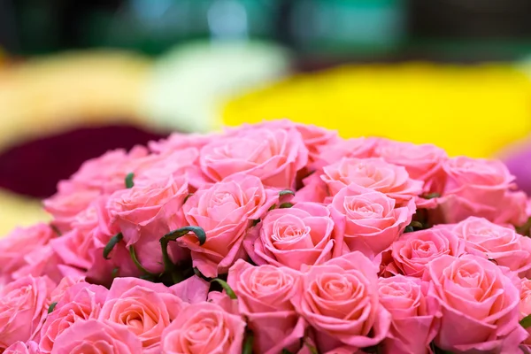 Strauß frischer Rosen — Stockfoto