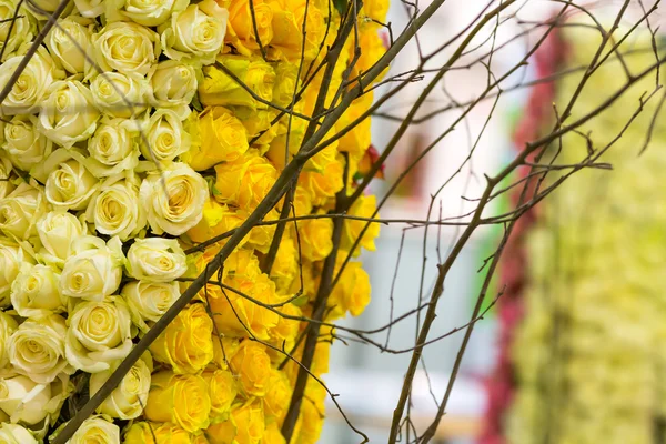 Hoop van gele rozen — Stockfoto