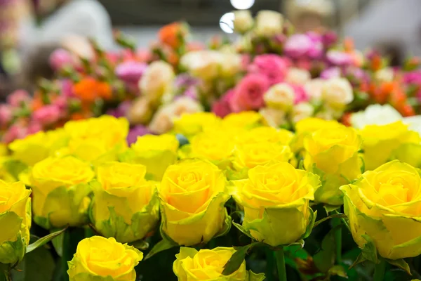 Strauß frischer Rosen — Stockfoto