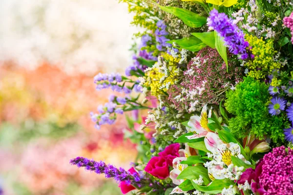 Verschiedene bunte Blumen — Stockfoto