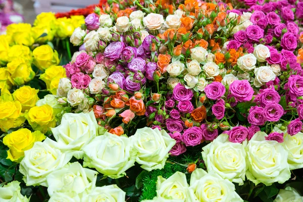 Verschiedene bunte Blumen — Stockfoto