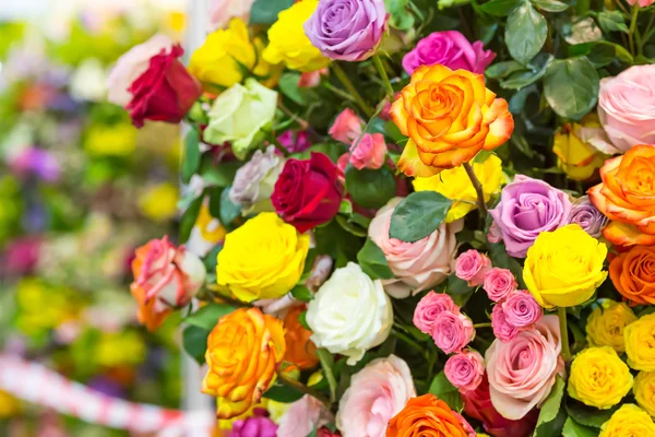 Bouquet of fresh roses — Stock Image Bouquet of fresh roses Royalty Free Stock Images