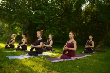 Zayıf kadınlar esneme egzersizi yapıyor, parkta çimde grup yoga eğitimi alıyor. Meditasyon, açık hava egzersizleri, rahatlama pratiği.