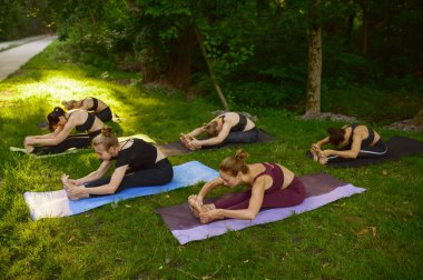 Zayıf kadınlar paspaslar üzerinde esneme egzersizleri yapıyor. Parktaki çimlerde grup yoga eğitimi alıyor. Meditasyon, açık hava egzersizleri, rahatlama pratiği.