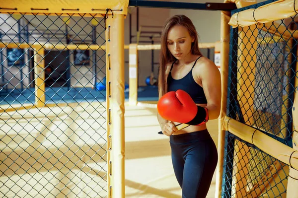 Одна Спортивная Женщина Борец Мма Боксёрских Перчатках Позирует Клетке Спортзале — стоковое фото