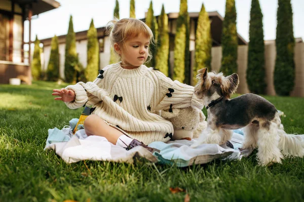 Niño Jugar Con Perro Divertido Jardín Niño Con Cachorro Sentado — Foto de Stock