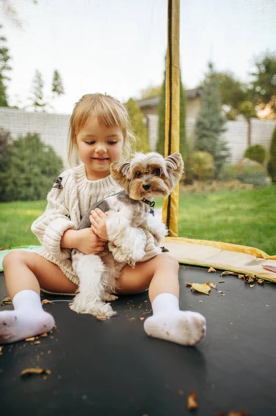 Çocuk Bahçede Trambolinde Komik Köpekle Oynuyor Bahçede Boş Vakti Olan — Stok fotoğraf