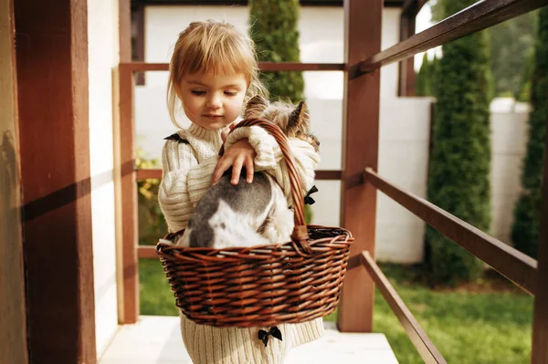 Kid Funny Dog Basket Sitting Stairs Country House Child Puppy — Stock Photo, Image