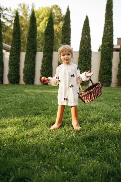 Little Girl Basket Eats Apple Garden Female Child Poses Lawn — Stock Photo, Image