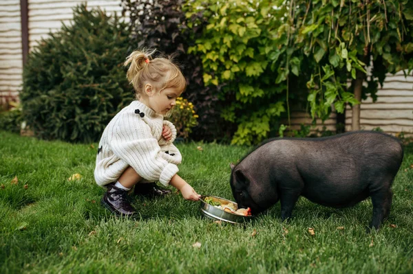 Niño Alimenta Cerdo Negro Jardín Cuidando Animales Niño Con Posturas — Foto de Stock