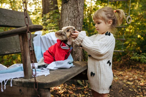 Kind Spelen Met Grappige Hond Grote Houten Stoel Tuin Vrouwelijk — Stockfoto