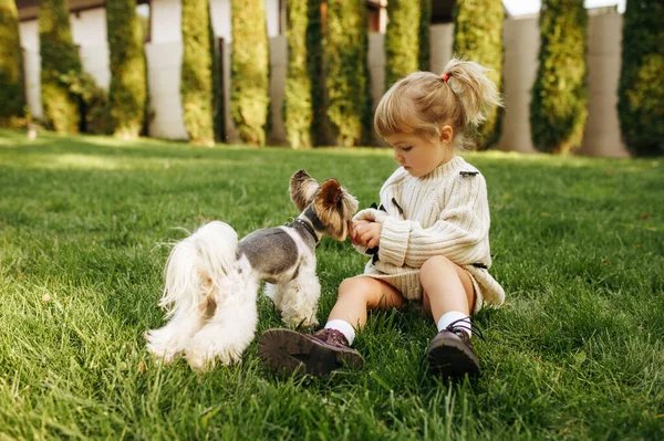 Niño Jugar Con Perro Divertido Jardín Niño Con Cachorro Sentado — Foto de Stock