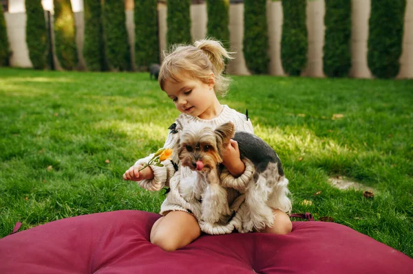 Παιδί Αγκαλιάζει Αστείο Σκυλί Στον Κήπο Τους Καλύτερους Φίλους Παιδί — Φωτογραφία Αρχείου