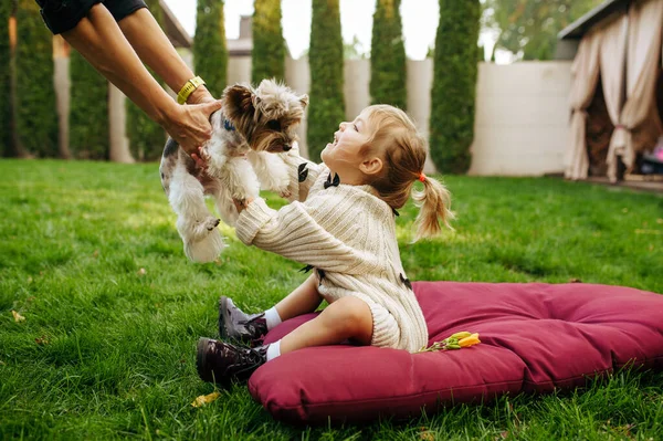 Niño Toma Las Manos Perro Divertido Jardín Mejores Amigos Niño — Foto de Stock