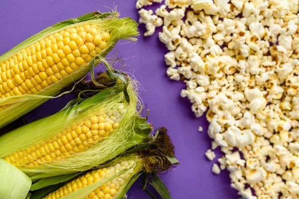 Pannocchie Mais Crude Popcorn Freschi Sfondo Viola Cibo Vegetariano Biologico — Foto Stock