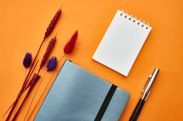 Zwei Notizblöcke Und Stift Nahaufnahme Orangefarbener Hintergrund Bürobedarf Schul Oder — Stockfoto