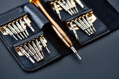 Tornavida ve değiştirilebilir bit kümesi, yakın plan