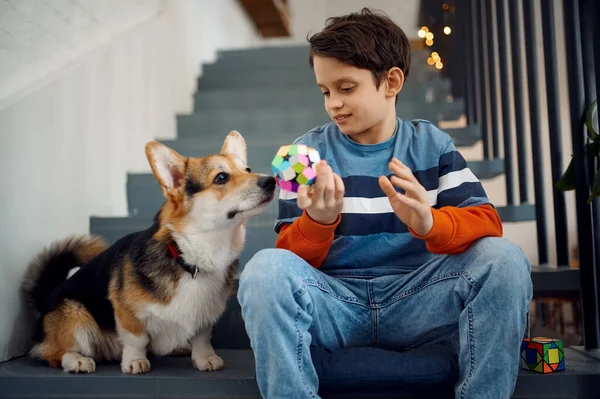 Kind Zijn Hond Spelen Met Puzzelblokjes Treden Speelgoed Voor Hersen — Stockfoto