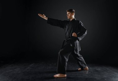 Erkek karateka, siyah kimono, savaş duruşu, karanlık bir geçmişi var. Antrenman yapan adam, dövüş sanatları, dövüş öncesi antrenman