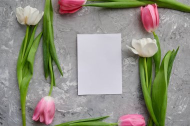 Lale çerçevesi ve grunge grisi arka planda tebrik kartı. Bahar çiçekleri açıyor, çiçek açıyor, yeşil tazelik, romantik bir hediye.