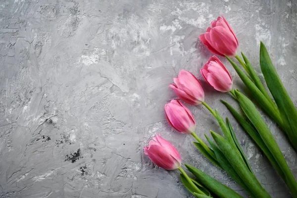 粉红郁金香的灰色背景 春花绽放 鲜花装点新颖浪漫 绿意盎然 — 图库照片