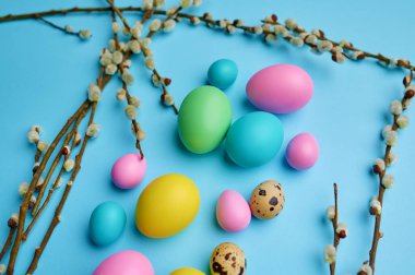 Renkli paskalya yumurtaları ve mavi arka planda söğüt ağacı, üst manzara. Paskalya yemeği, etkinlik dekorasyonu, bahar tatili kutlama sembolü.