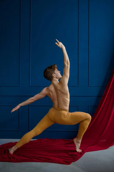 Mannelijke Balletdanser Poseert Dansstudio Blauwe Muren Rode Doek Achtergrond Uitvoerder — Stockfoto