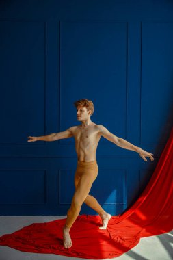 Erkek balerin, aksiyon sahnesi, dans stüdyosu, mavi duvar ve arka planda kırmızı bez. Kaslı vücutlu, zarif ve zarif bir dansçı.