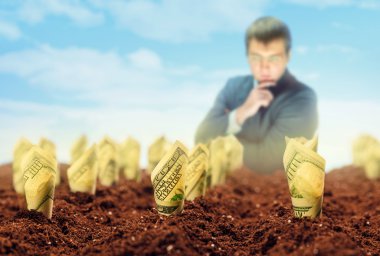 Amerikan Doları sıfırdan büyümek