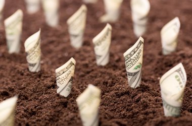 Amerikan Doları sıfırdan büyümek
