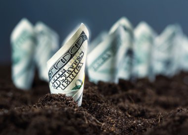 Amerikan Doları sıfırdan büyümek