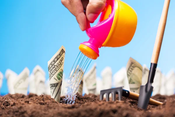 Watering the money sprigs — Stock Photo, Image