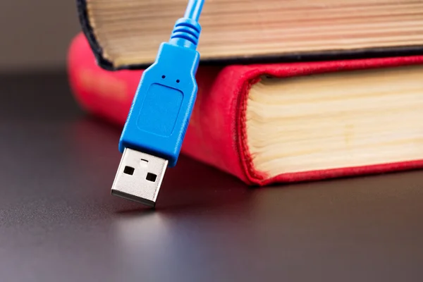 USB kablosu ve kitaplar — Stok fotoğraf