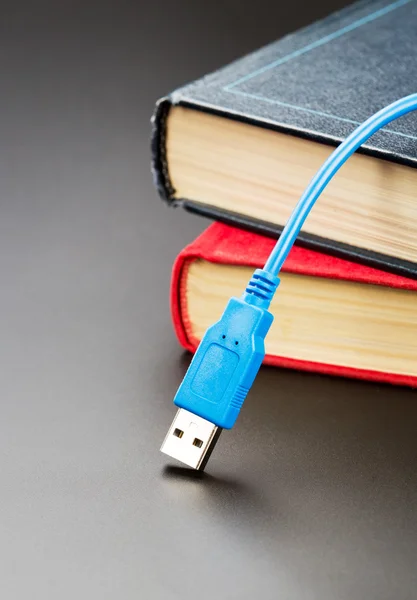 在书上的蓝色的 usb 电缆 — 图库照片