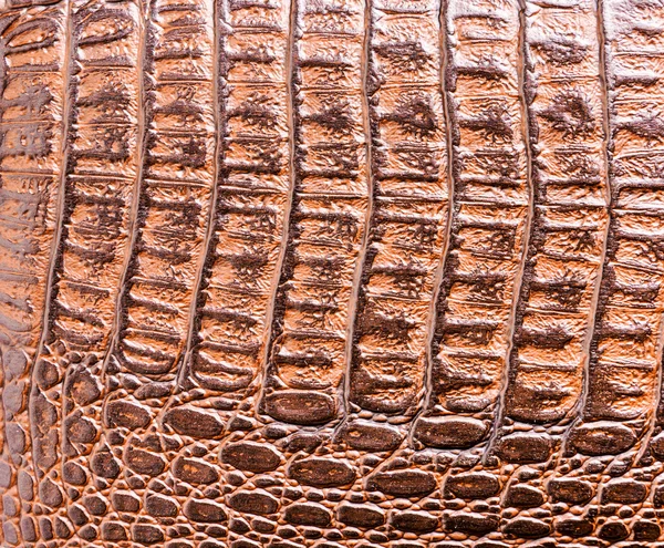 Crocodile skin leather texture — Stock Photo, Image