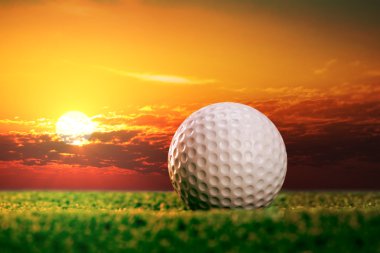 Bahçedeki golf topu.