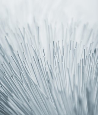 Fırça Şişeler için