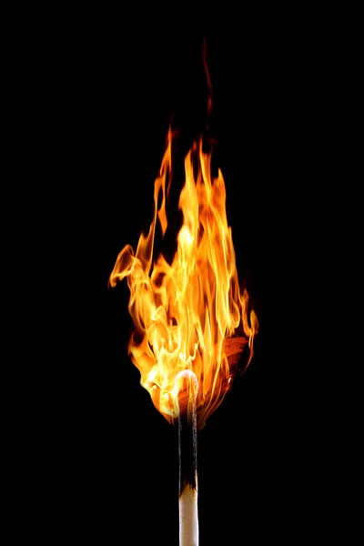 Burning matchstick on black — Stock Photo, Image