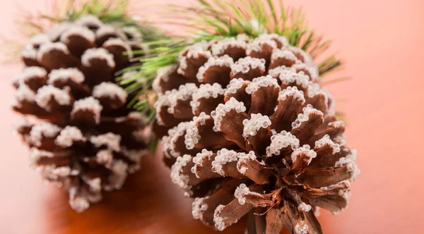 Two fir cones — Stock Photo, Image