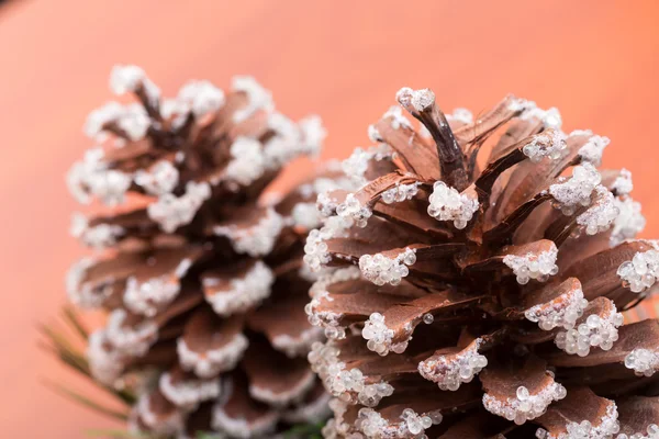 Two fir cones — Stock Photo, Image